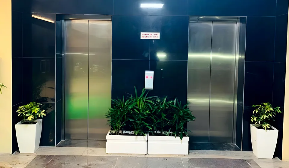 Indoor Plantation